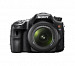 Sony SLT-A65VX