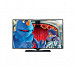 Philips 32PHH4509/88