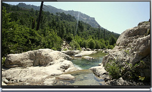 Panasonic TX-65AX800