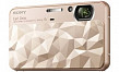 Sony DSC-T110D