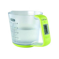 Gallet Orleans BAC 121 